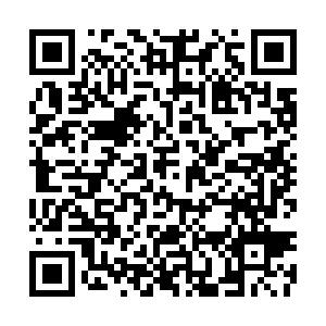 1732762625521325.png 山东1.png