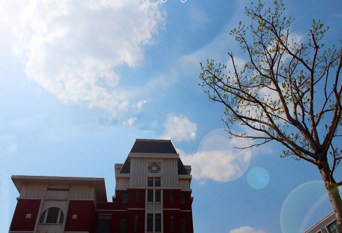 1524456743487980.jpg 254.jpg